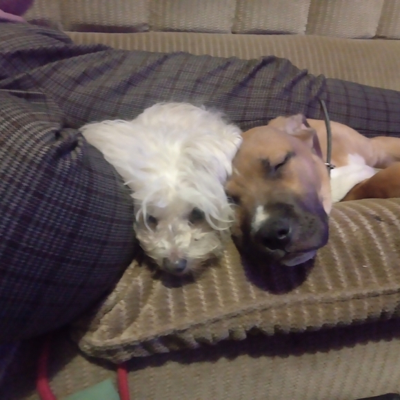 Meet your Posher, Topher - Picture 2 of 4